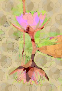 Water Lily Reflection (digital) av Scott J. Davis